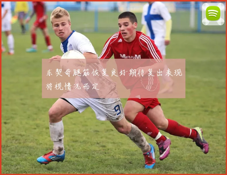 东契奇腿筋恢复良好期待复出表现将视情况而定