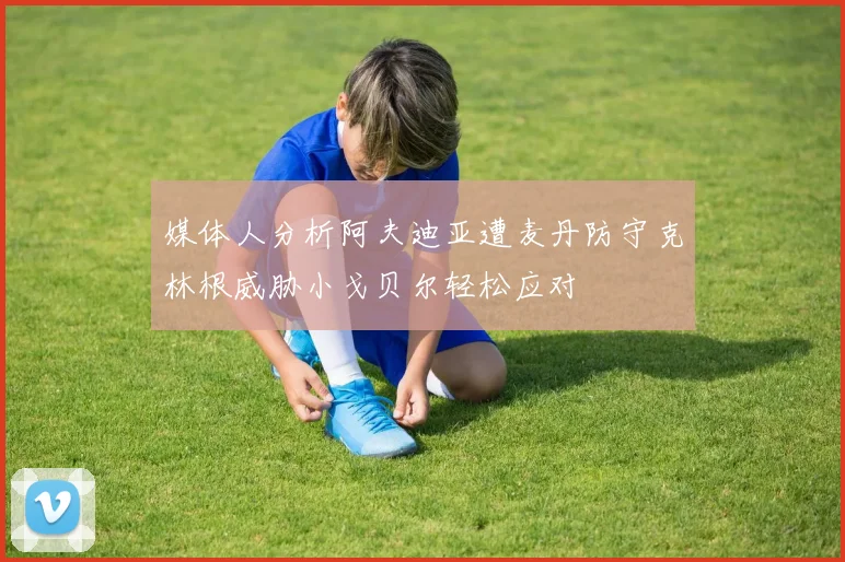 媒体人分析阿夫迪亚遭麦丹防守克林根威胁小戈贝尔轻松应对